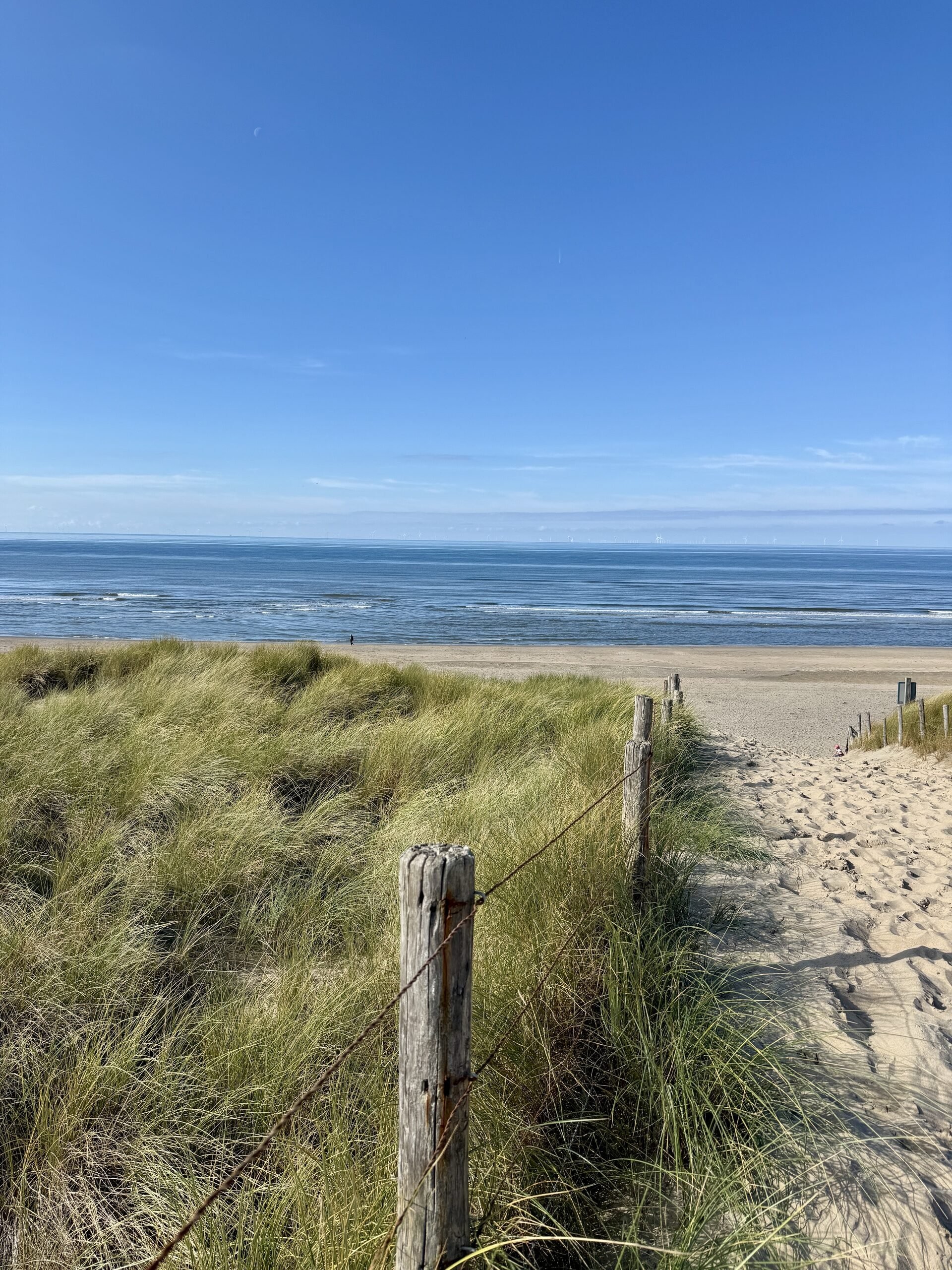 A Breath of Sea Air
